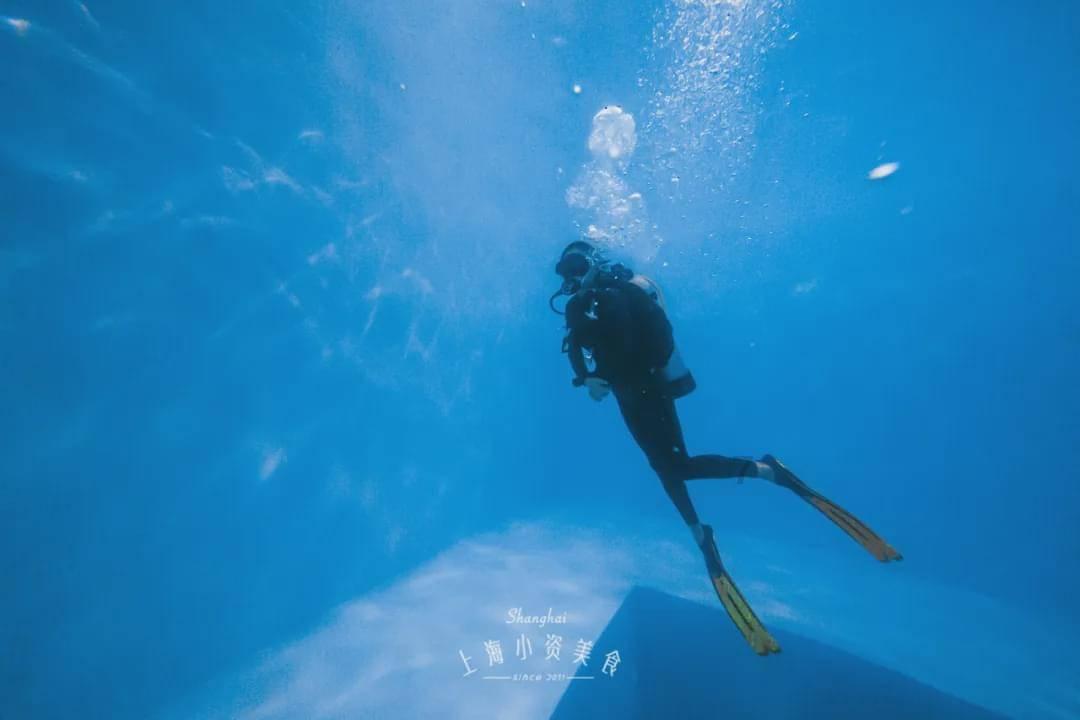 小猫钓鱼开船版最新版下载